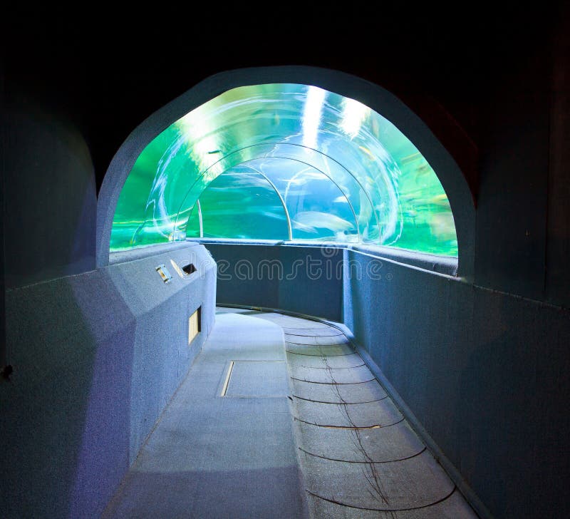 Aquarium Underwater Tunnel stock photo. Image of glass 34726774