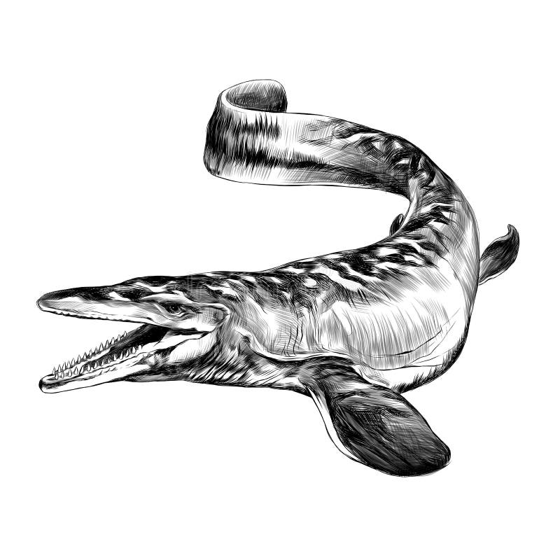 Aquatic Dinosaur Stock Illustrations 1,080 Aquatic Dinosaur Stock