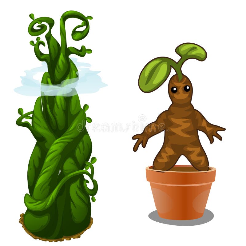 Aquatic and terrestrial plant magic. Vector royalty free illustration Aquatic and terrestrial plant magic. Vector royalty free illustration