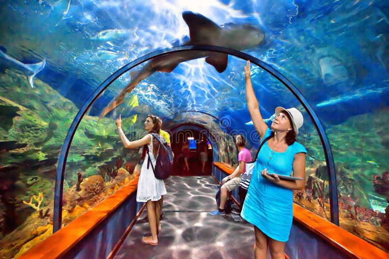 Aquatic tunnel in the Loro parque, Tenerife