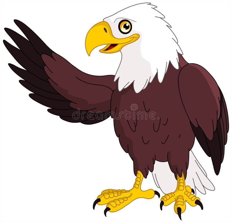 Aquila Aquila