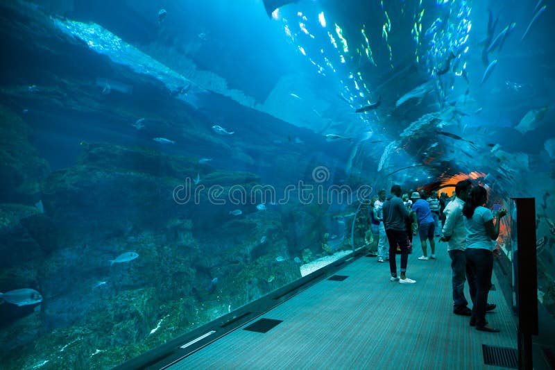 Dubai Aquarium foto de stock royalty free