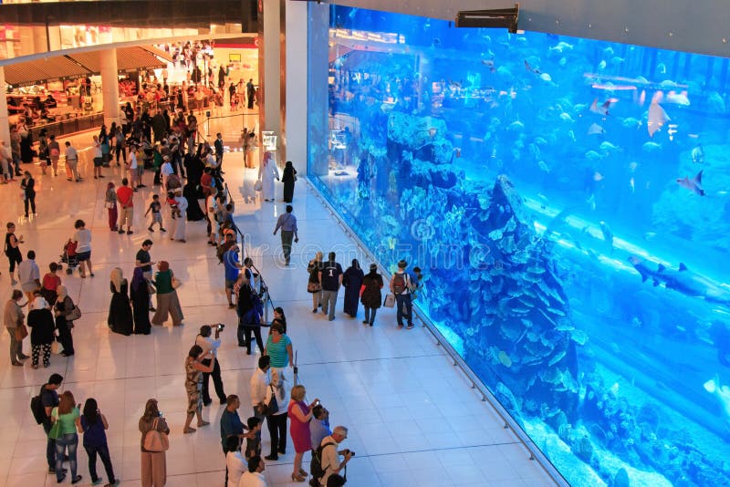 Aquário na alameda de Dubai, o shopping o maior do mundo imagens de stock Aquário na alameda de Dubai, o shopping o maior do mundo imagens de stock