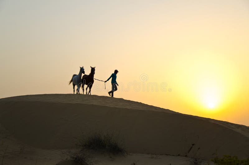 Arab Man with Arabian Horse