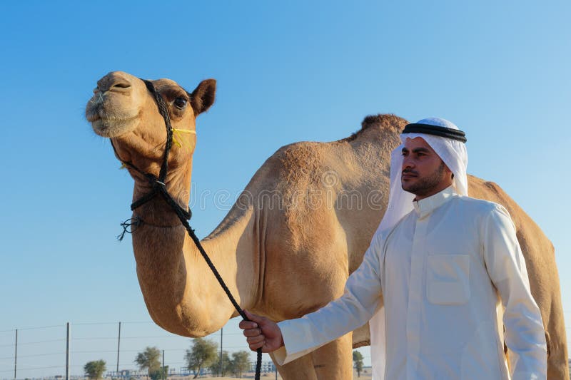 Arab man and camel stock photo. Image of arabia, sahara 61541236