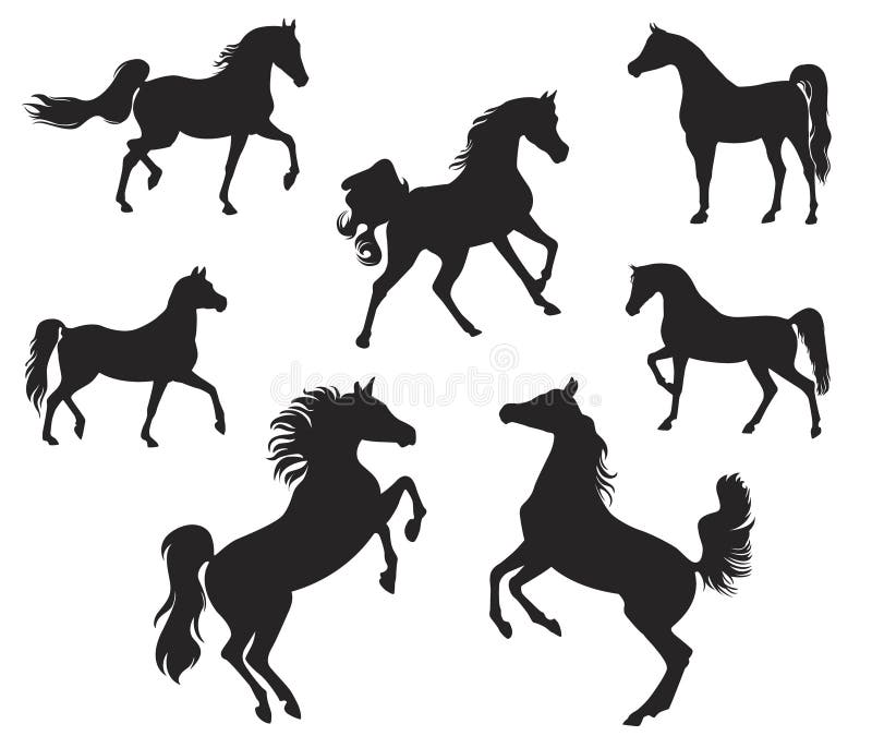 Arabian Horse Silhouette Stock Illustrations 1 541 Arabian Horse Silhouette Stock Illustrations Vectors Clipart Dreamstime