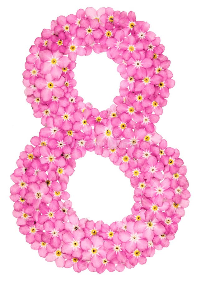 Arabic numeral 8, eight, from pink forget-me-not flowers, isolat stock photo Arabic numeral 8, eight, from pink forget-me-not flowers, isolat stock photo
