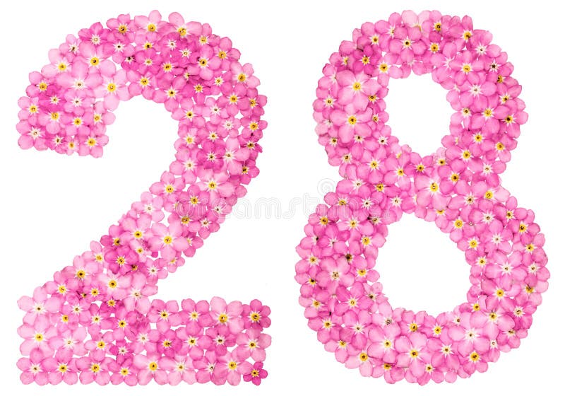 Arabic Numeral 28, Twenty Eight, from Pink Forget-me-not Flowers Stock  Illustration - Illustration of numeral, natural: 116797812