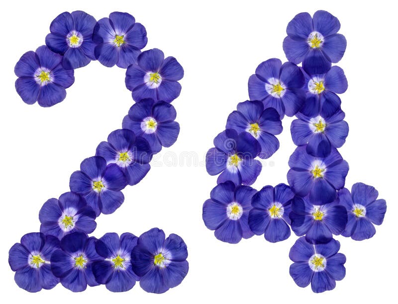 Arabic numeral 24, twenty four, from blue flowers of flax, isolated on white background