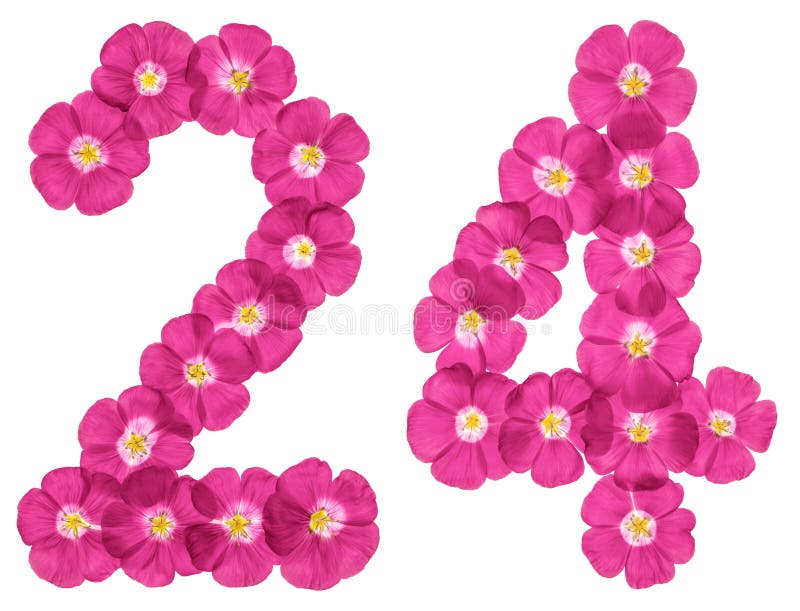 Number 24 Banner Number Twenty Four Stock Illustration 2155840027