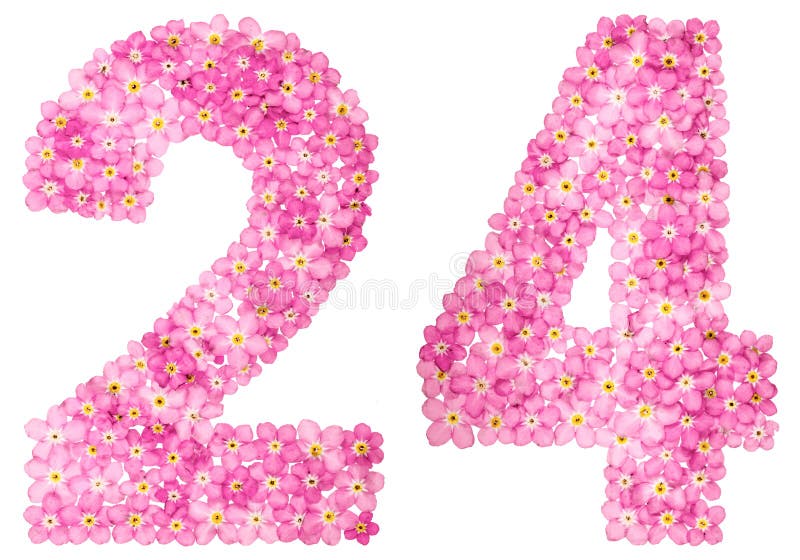 Number 24 Stock Illustration 315689666