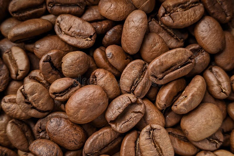 Coffee roasted beans stock image. Image of coffee, roasted 264202875