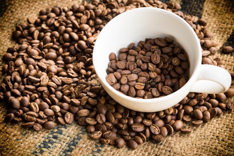 Arabica φασόλια καφέ στο φλυτζάνι καφέ με το υπόβαθρο υφασμάτων σάκων bean coffee roasted στοκ εικόνες με δικαίωμα ελεύθερης χρήσης Arabica φασόλια καφέ στο φλυτζάνι καφέ με το υπόβαθρο υφασμάτων σάκων bean coffee roasted στοκ εικόνες με δικαίωμα ελεύθερης χρήσης