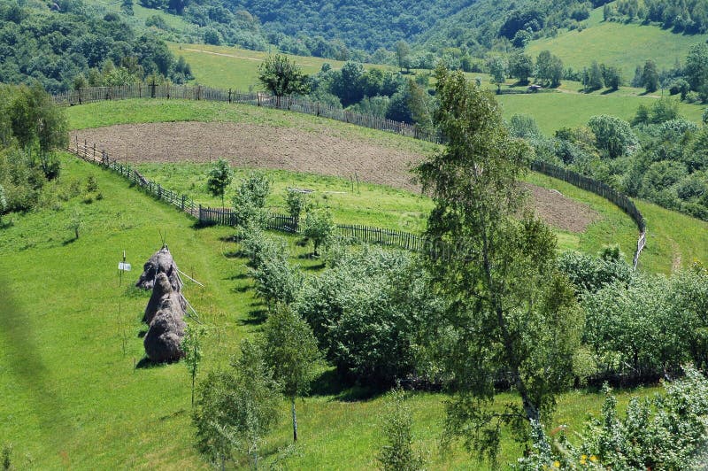 Arable Agriculture Concept, Aerial Top View Rural. Farmer on Tractor