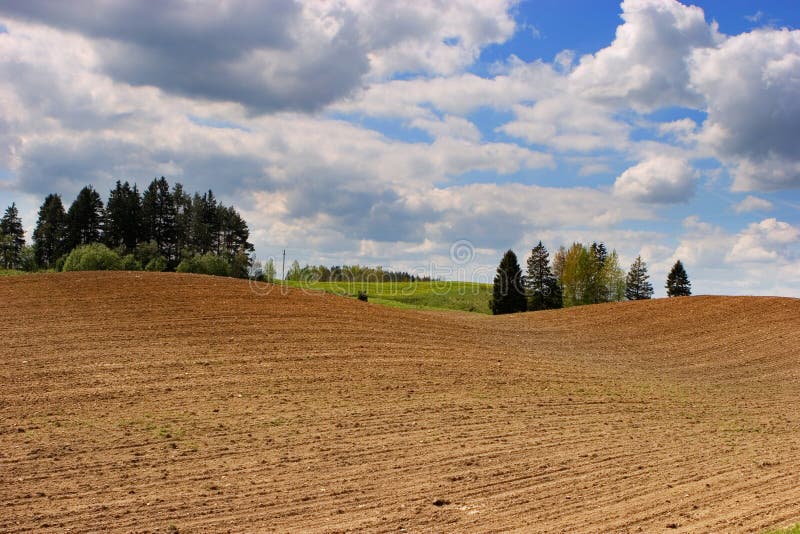 Arable field stock photography