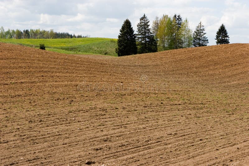 Arable field royalty free stock image