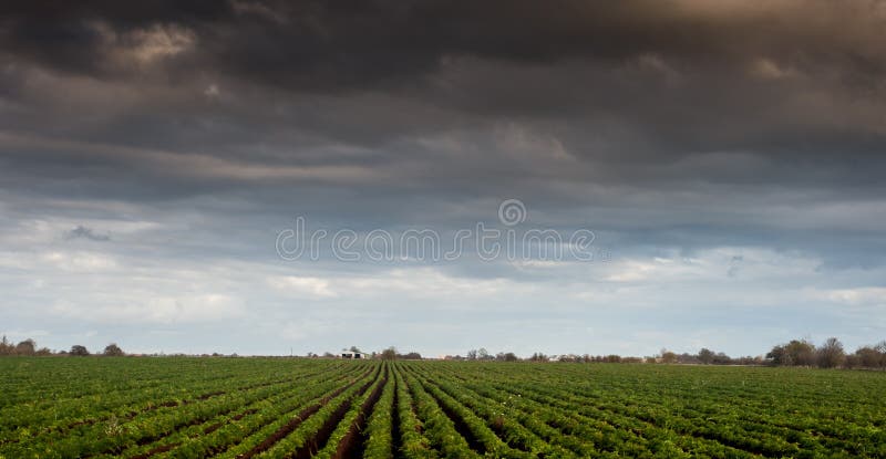Arable field beneath storm stock photos