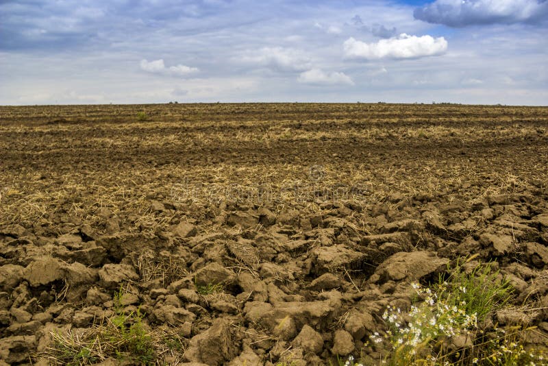 Arable field farm stock photography