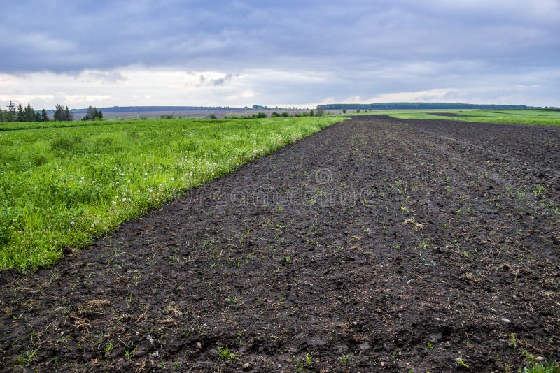 Arable field farm royalty free stock photo