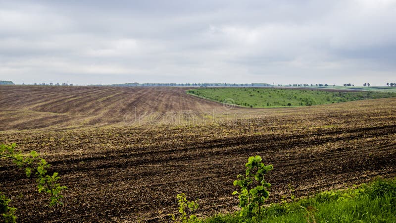 Arable field farm royalty free stock image