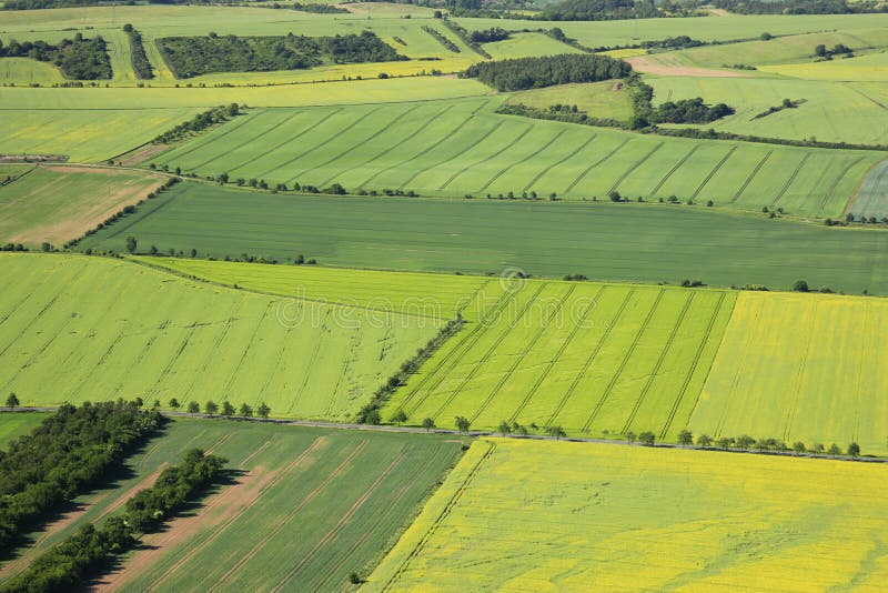 Arable land stock image. Image of agriculture, copy, growing 24489003