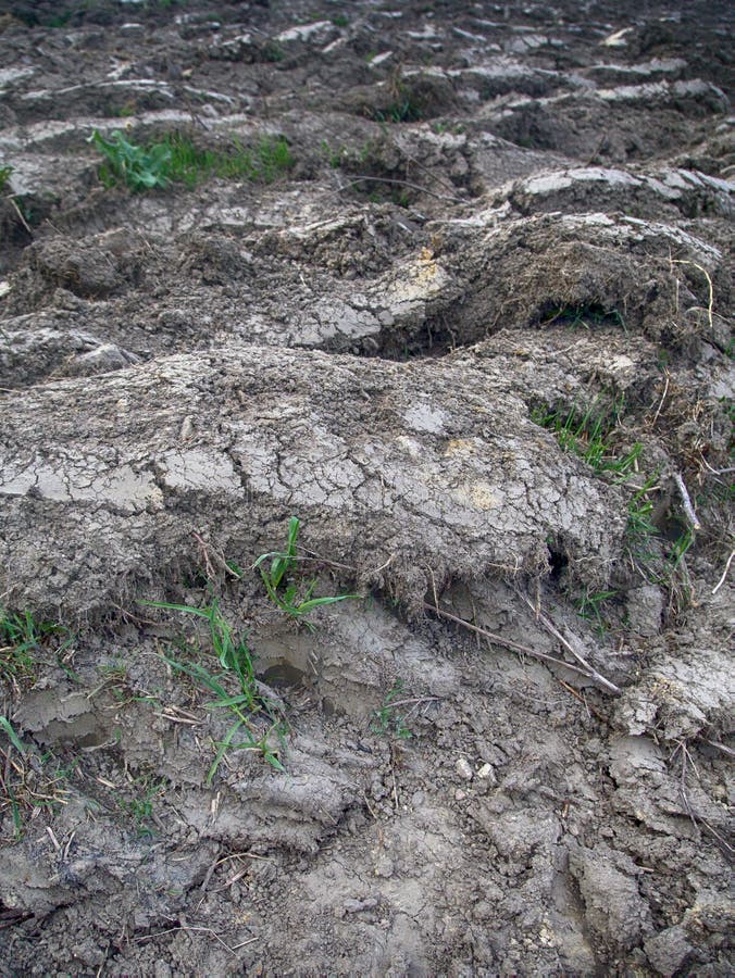 Arable Land and Winter Crops in Eastern Europe Stock Image Image of grain, land 148891735