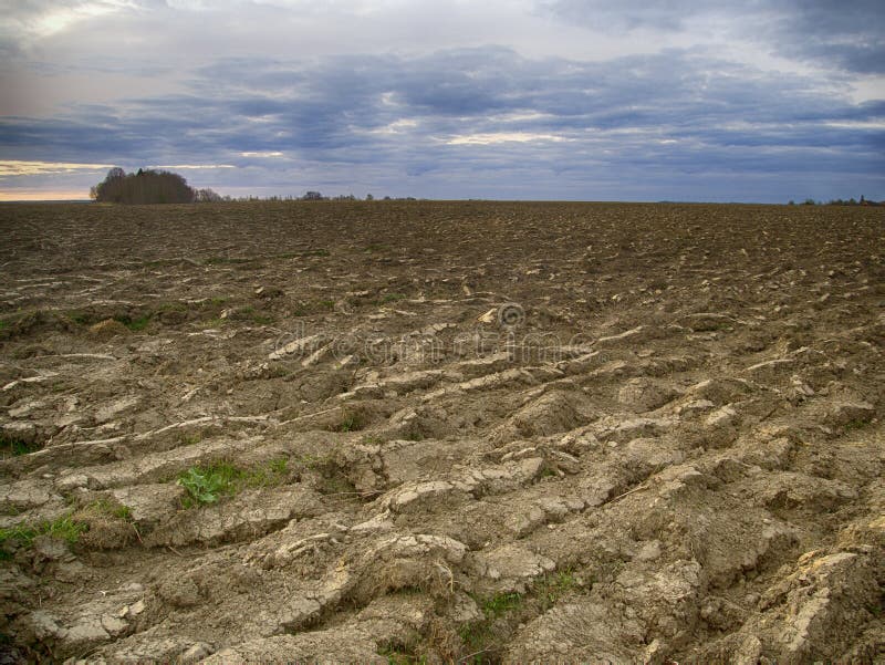 Arable Land and Winter Crops in Eastern Europe Stock Image Image of