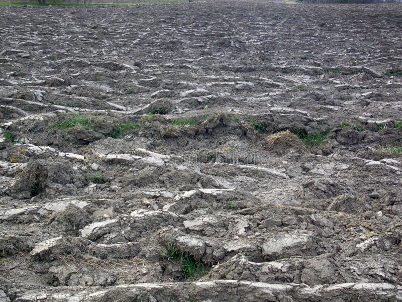 Arable Land and Winter Crops in Eastern Europe Stock Image Image of grain, building 150965047