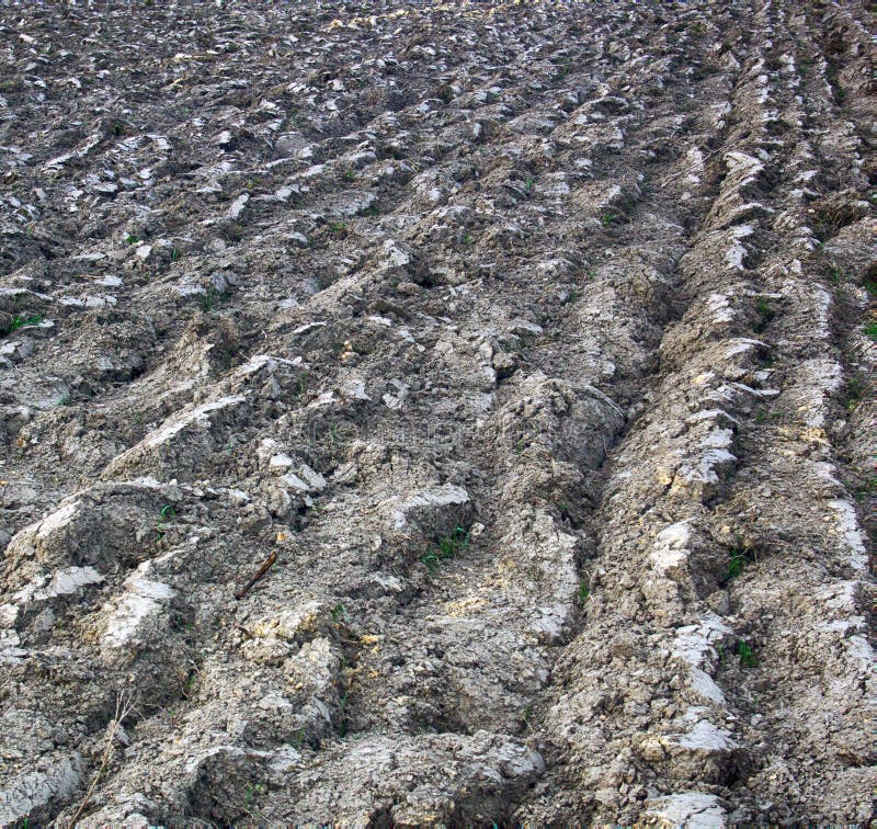 Arable Land and Winter Crops in Eastern Europe Stock Photo Image of farmland, hills 153579148