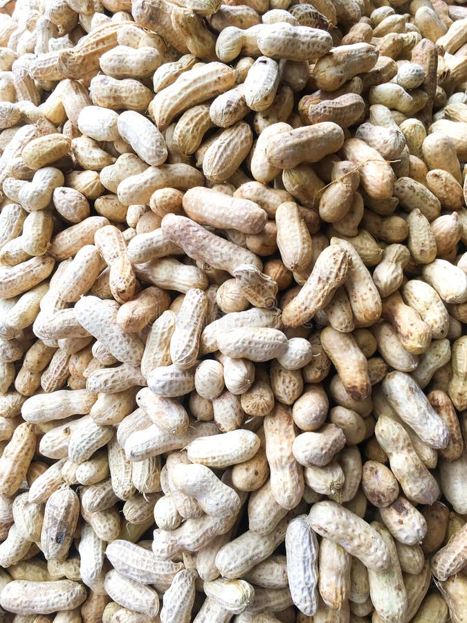 Arachide d'ébullition en vente au marché fond haut étroit de texture Arachide d'ébullition en vente au marché fond haut étroit de photographie stock Arachide d'ébullition en vente au marché fond haut étroit de texture Arachide d'ébullition en vente au marché fond haut étroit de photographie stock