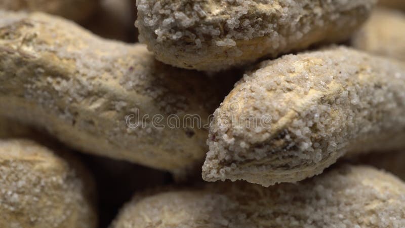 Arachides salées dans une coquille dans la rotation