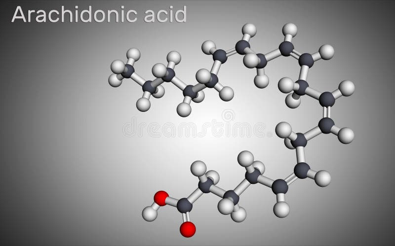 Arachidonic acid, AA, ARA molecule. It is unsaturated omega-6 fatty acid, is precursor in biosynthesis of prostaglandins