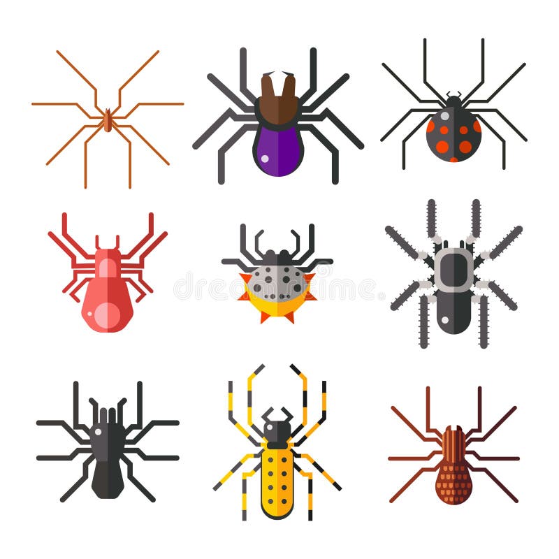 Arachnid σκιαγραφιών Ιστού αραχνών γραφικό επίπεδο τρομακτικό ζωικό σχέδιο φόβου