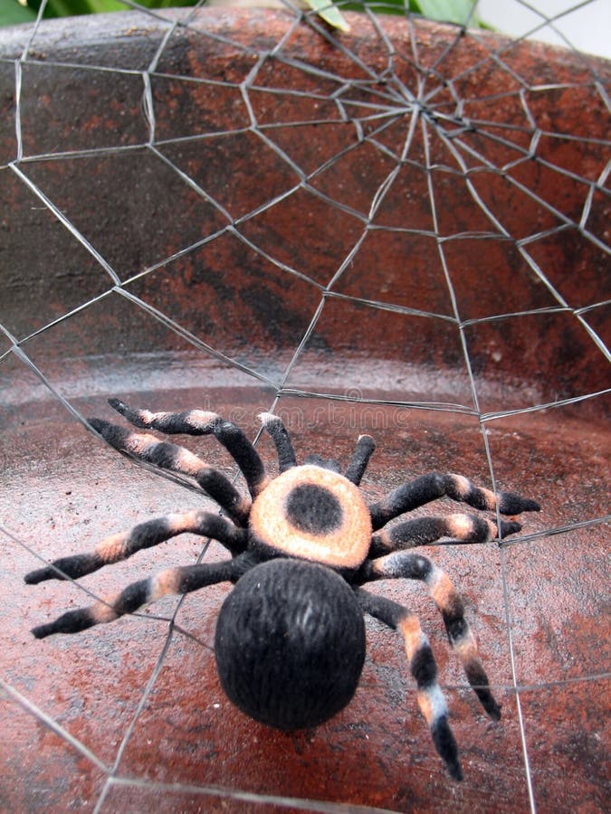 Shot of a spider (tarantula), on its spiderweb. (Decoration for Halloween). Shot of a spider (tarantula), on its spiderweb. (Decoration for Halloween)