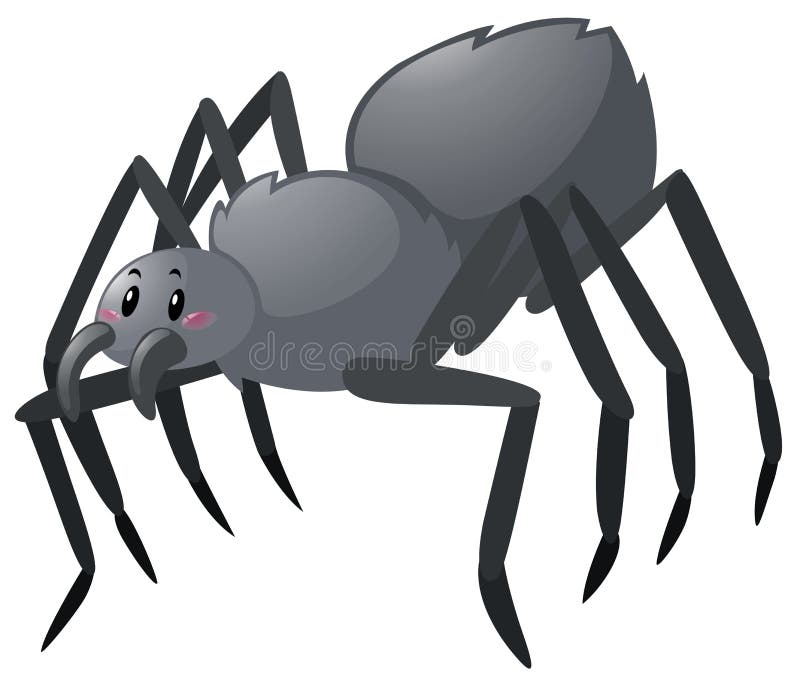 Aranha preta sobre fundo branco ilustração stock