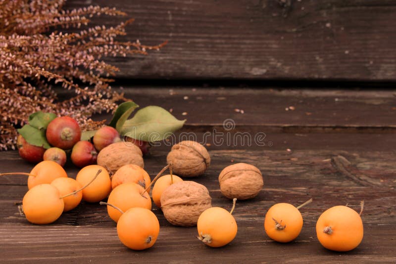 Aranjament botanic de toamnă. compoziție de mere mici și pere mici, nuci și eriche pe masă din lemn stock photography