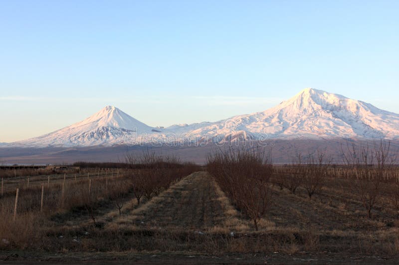 Ararat κοιλάδα ανατολής