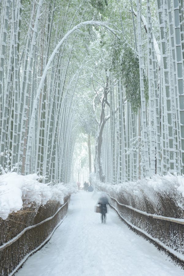 921 Kyoto Winter Snow Stock Photos Free And Royalty Free Stock Photos