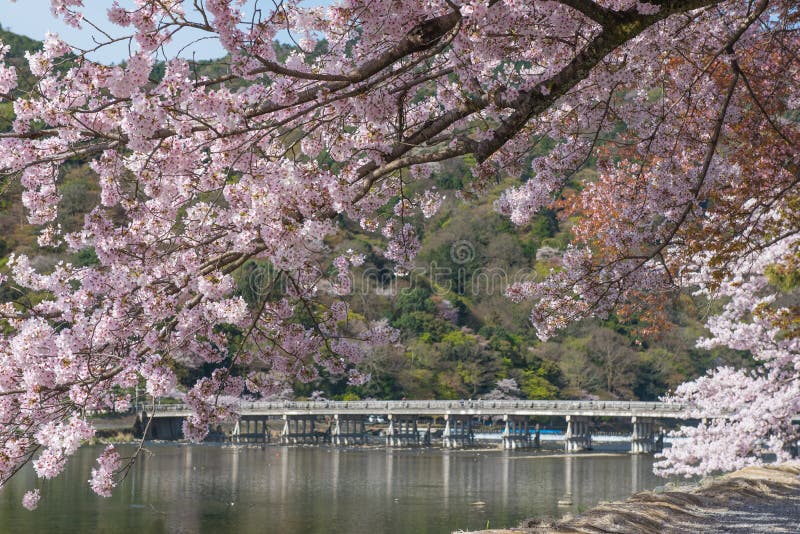 Arashiyama in de lente royalty-vrije stock afbeeldingen Arashiyama in de lente royalty-vrije stock afbeeldingen