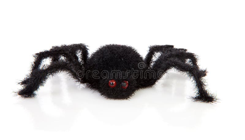 Araña melenuda asustadiza negra del juguete imágenes de archivo libres de regalías Araña melenuda asustadiza negra del juguete imágenes de archivo libres de regalías
