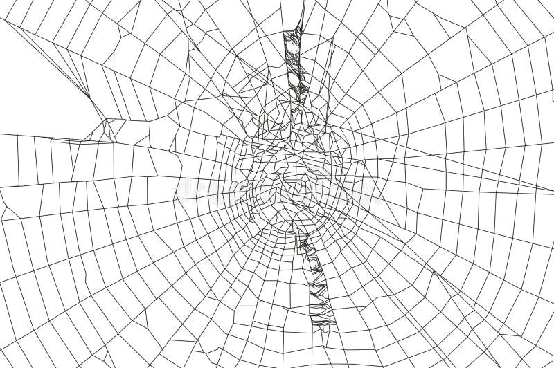Araña y Web de araña