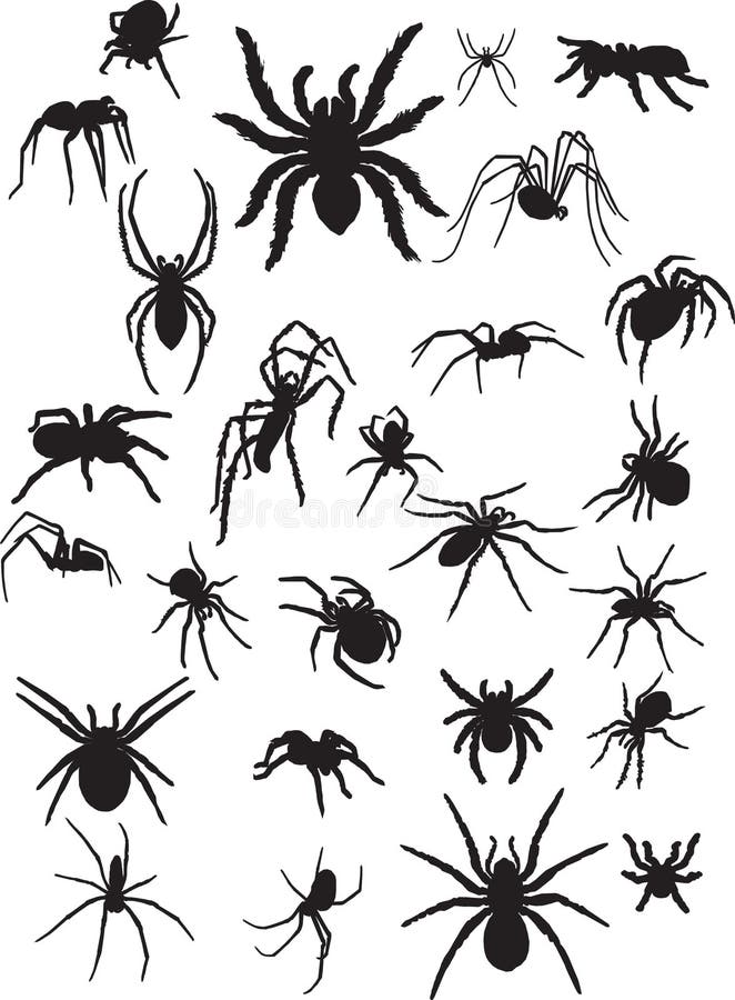 Arañas