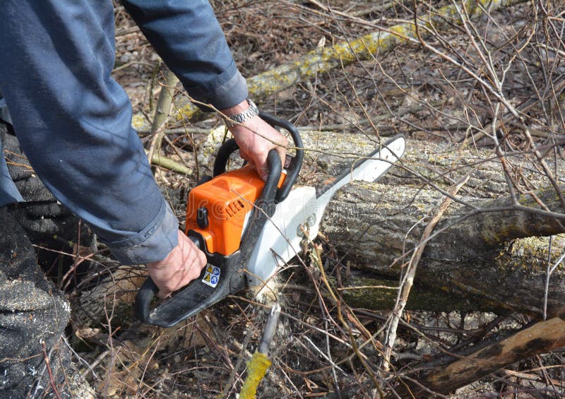 Arbeider met Benzinekettingzaag in Forest Tree Cutting Saw Mens met het Knipsel van de de Kettingzaagboom van de Benzinebenzine O stock afbeeldingen Arbeider met Benzinekettingzaag in Forest Tree Cutting Saw Mens met het Knipsel van de de Kettingzaagboom van de Benzinebenzine O stock afbeeldingen