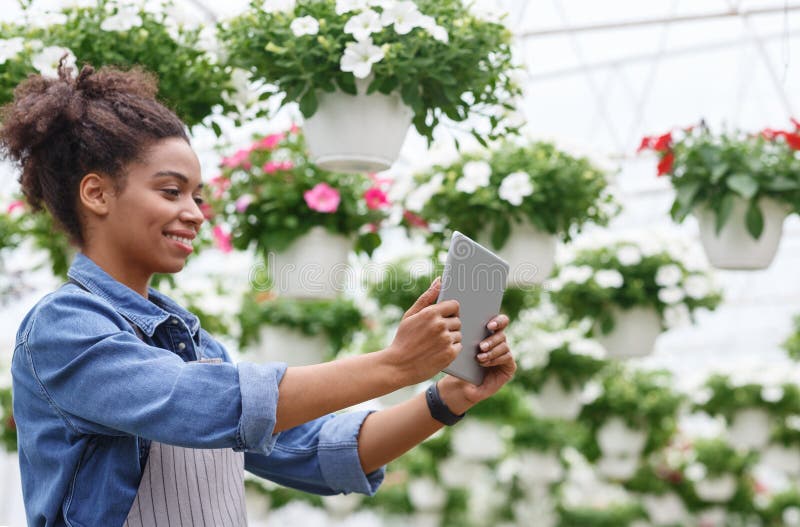 Arbeiten mit der Digitaltechnik in Gewächshäusern mit Blumen. Afroamerikaner- und Landarbeitermädchen mit Tablette lizenzfreie stockfotografie