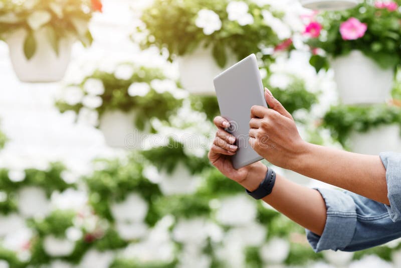 Arbeiten mit digitaler Technologie in Gewächshäusern mit Blumen. Afrikanisches amerikanisches Mädchen und Landarbeiterin mit Table lizenzfreies stockbild