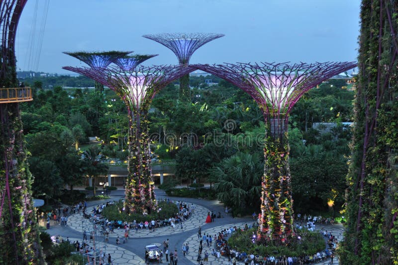 Arbeiten Sie Durch Die Buchtsuperbäume Singapur Asien Im