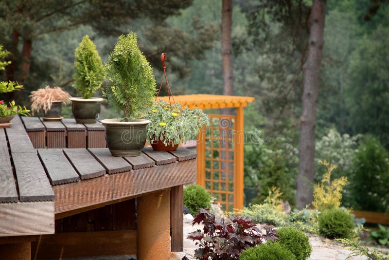 A view of a wooden deck with several different plants and small shrubs that are part of a small garden next to a forest. A view of a wooden deck with several different plants and small shrubs that are part of a small garden next to a forest.