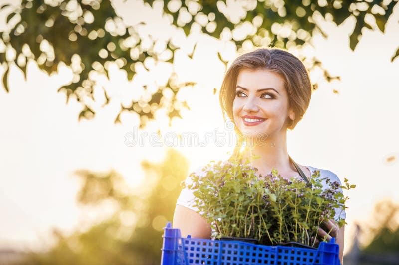 Ung kvinna som trädgårdssköter arkivbilder