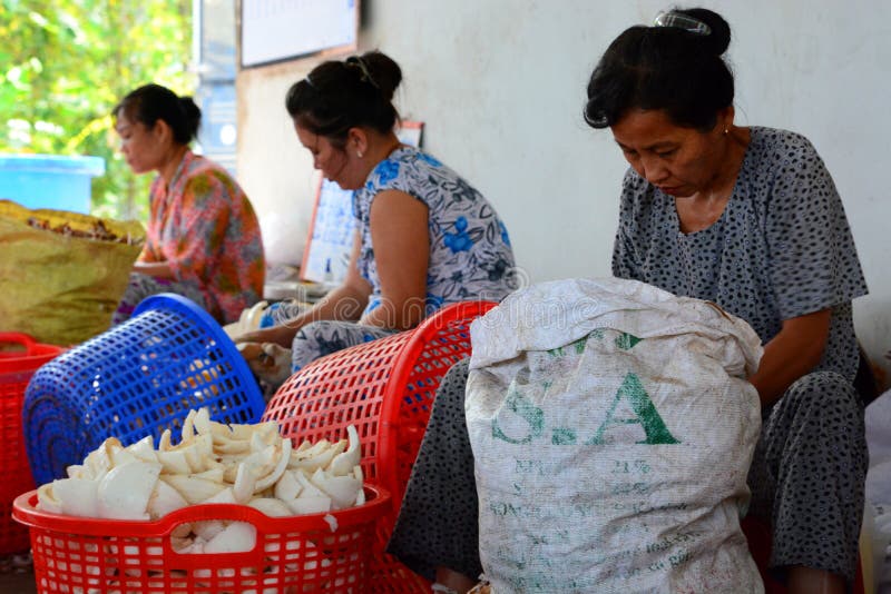 Arbetare i kokosnötgodisfabrik Ben Tre Mekong deltaregion vietnam royaltyfri foto Arbetare i kokosnötgodisfabrik Ben Tre Mekong deltaregion vietnam royaltyfri foto