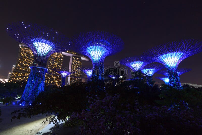 Arboleda y Marina Bay Sands de Supertree en la noche en jardines por la bahía fotos de archivo Arboleda y Marina Bay Sands de Supertree en la noche en jardines por la bahía fotos de archivo